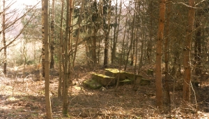 Ruiny pomnika poległych ze wsi Machowinko